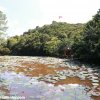 Hình ảnh dâng y 1015 chùa Huyền Không  Sơn Thượng- Huế