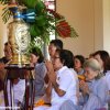 Hình ảnh dâng y 1015 chùa Pháp Luân - Huế 