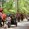 Hình ảnh Phượt Phẹt KamPuChia