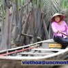 Khảo sát Miền Tây 1