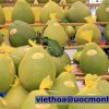 Khảo sát Miền Tây 1