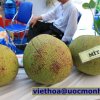Khảo sát Miền Tây 1