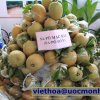 Khảo sát Miền Tây 1