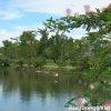 Du lịch & Câu thác Giang Điền