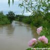 Du lịch & Câu thác Giang Điền