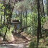 huyền Trân Công Chúa & Tháp chuông Hòa Bình