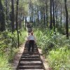huyền Trân Công Chúa & Tháp chuông Hòa Bình