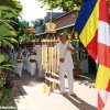 HÌnh ảnh Dâng Y 2015 chùa Tăng Quang - Huế