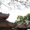 Chua Thiền Lâm Dâng Y 2015