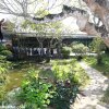 Hình ảnh dạng y 1015 chùa Huyền Không - Huế